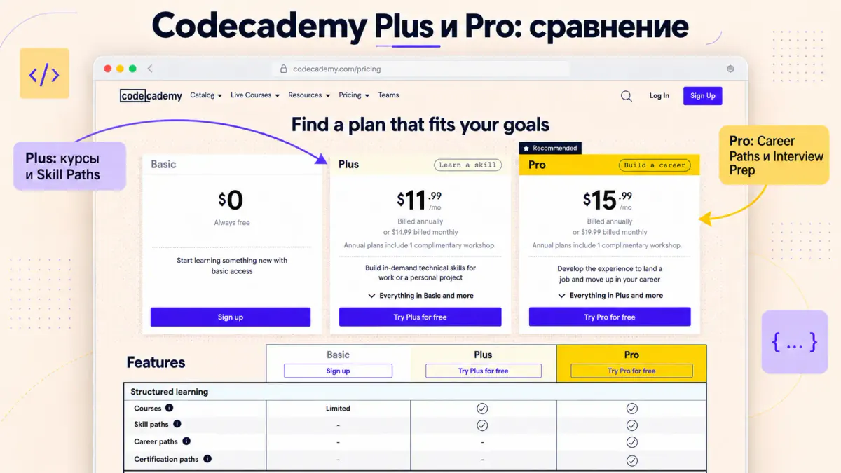 Codecademy Plus и Pro: сравнение тарифов Basic, Plus и Pro